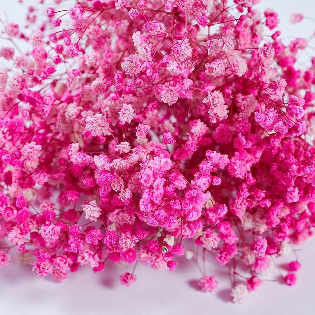 Pink Baby's Breath Dried Flowers,Christmas and Halloween,Vase  Arrangements,Home Decor,Photo Props,Parties,100